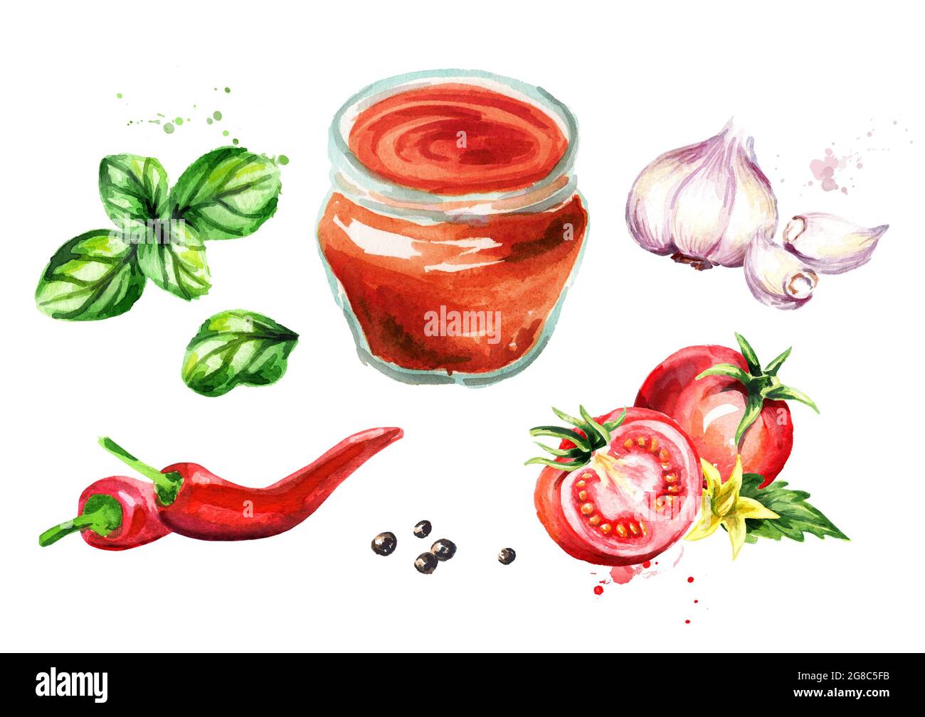 Tomato sauce set with tomatoes, garlic, chili, black pepper and Basil. Watercolor hand drawn