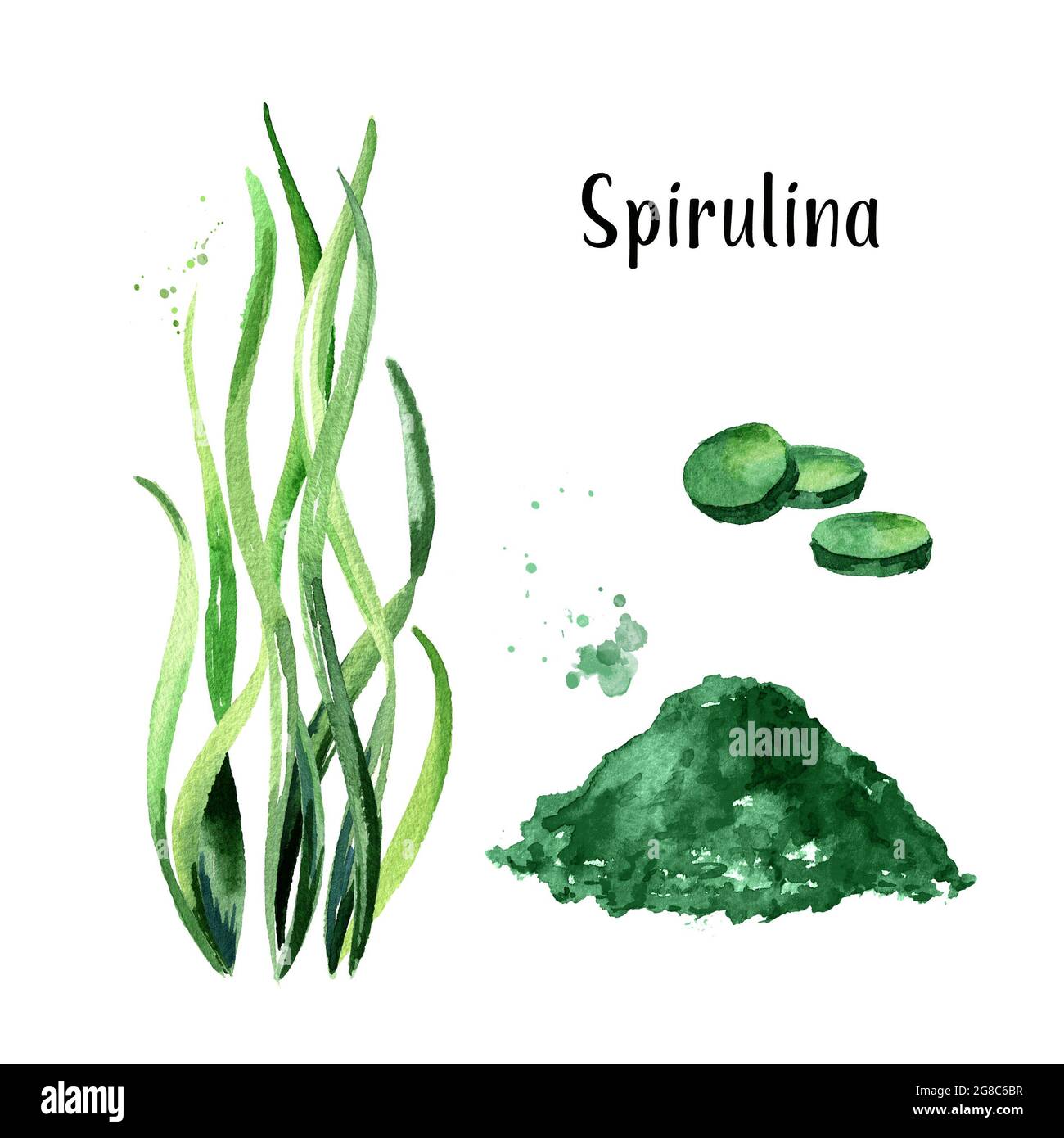 Seaweed Spirulina with powder and tablets. Superfood. Watercolor hand