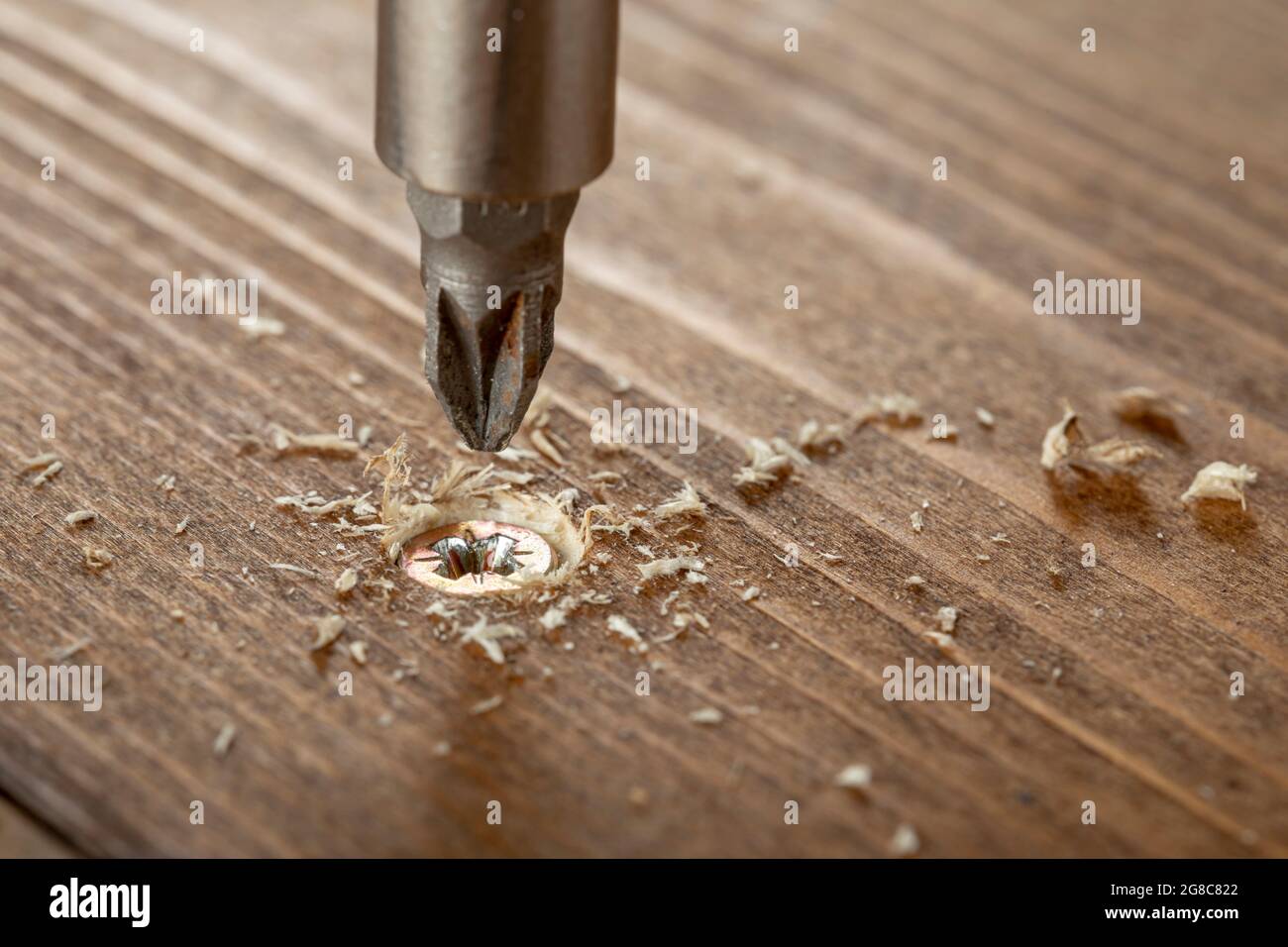 Selftapping screw screwed into a wooden board closeup. Screw for wood