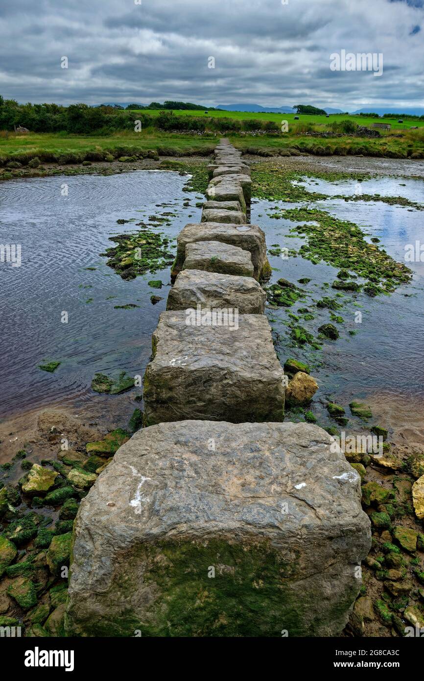 The Rhuddgaer Stepping Stones or Giant's Stepping Stones form part of the Anglesey Coastal Path near Newborough on Anglesey, Wales. Stock Photo