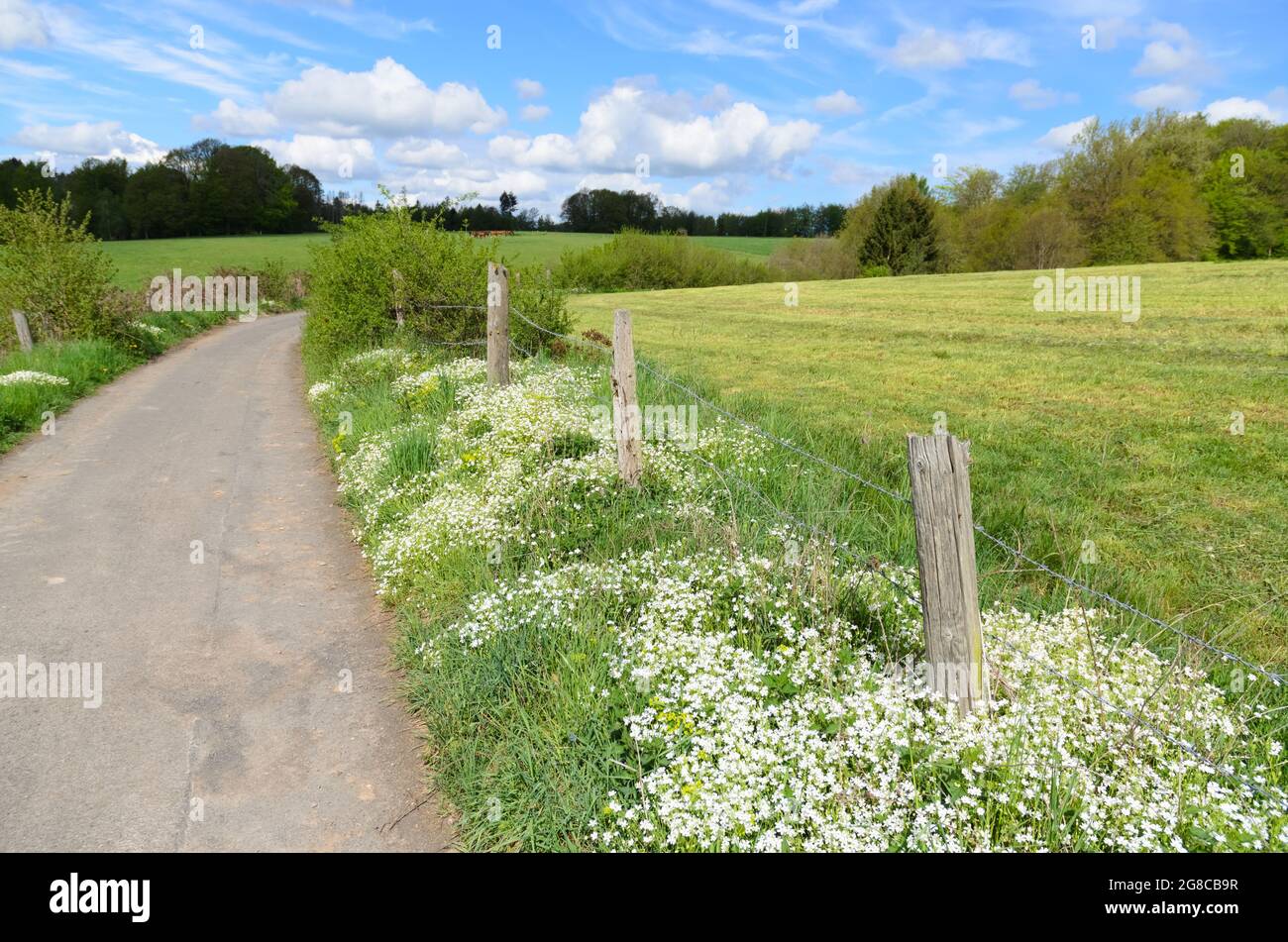 Flowers along fence hi-res stock photography and images - Alamy