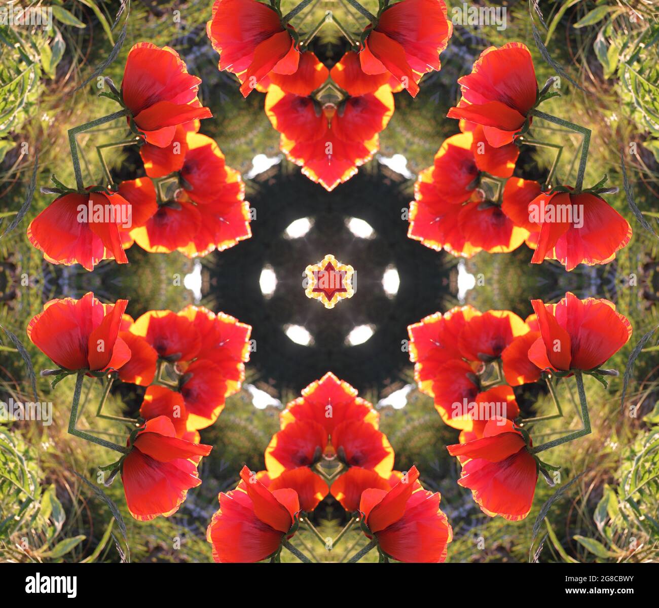 Kaleidoscope of energy, light and red flowers. Seasons, light, summer and   retro patterns. Poppy abstract backgrounds and wallpaper. Stock Photo