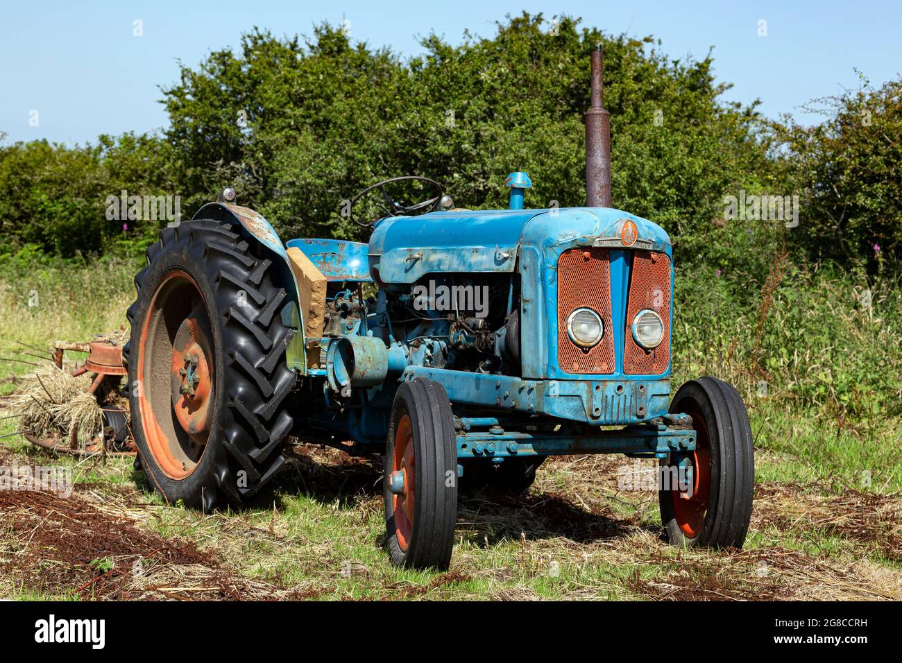 Fordson Super Major Tractor,turning hay with old tractor, fordston tractor,Fordson Stock Photo