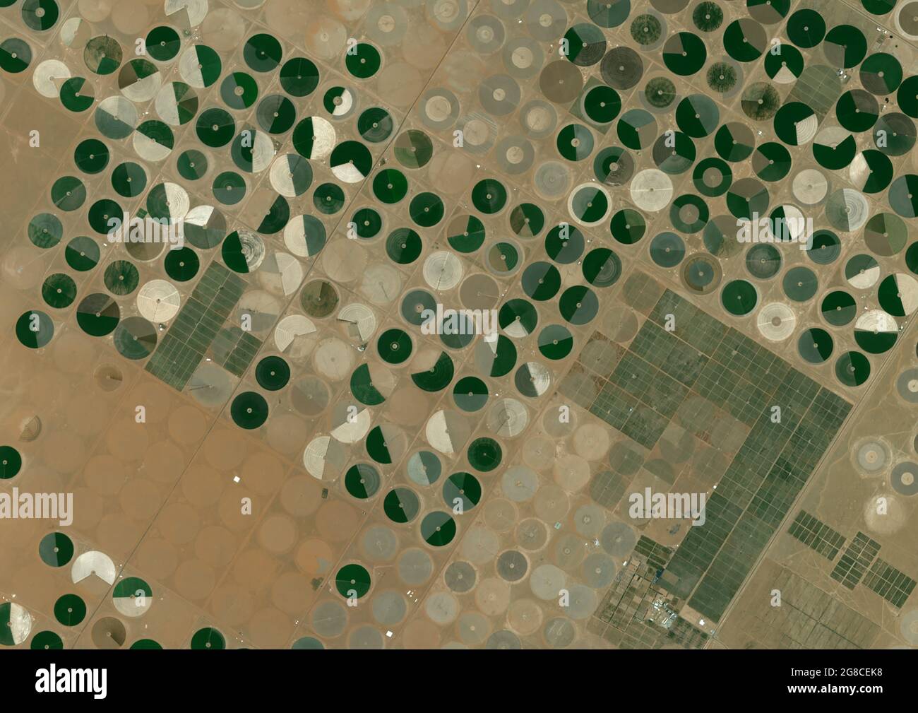 Crop Circles in the Desert, Saudi Arabia Stock Photo