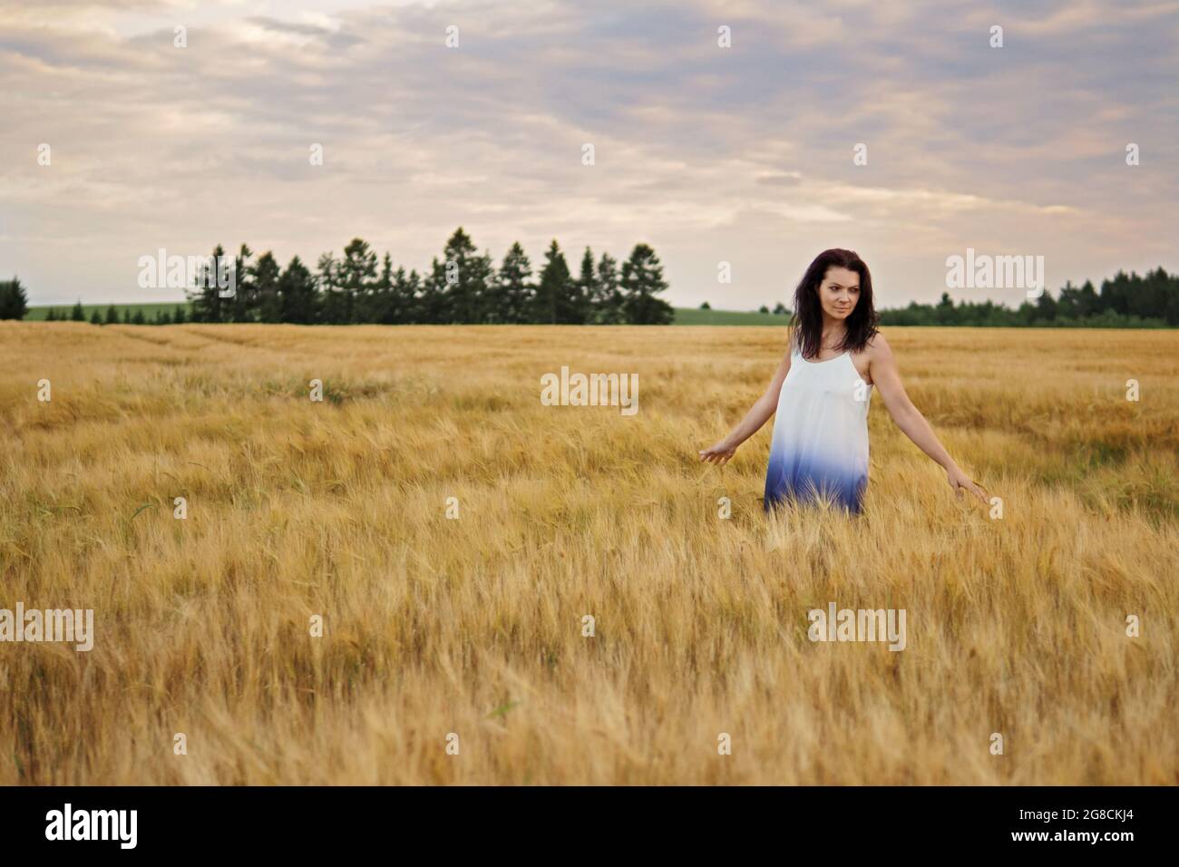 Portrait of young pretty woman without bra in barley field Stock Photo