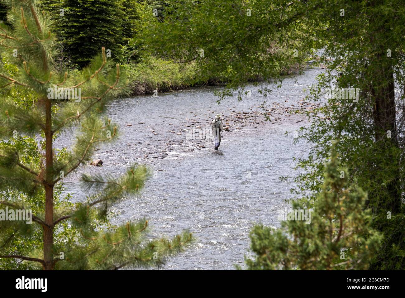 Fox Creek, Colorado Fishing in the Conejos River in Rio Grande