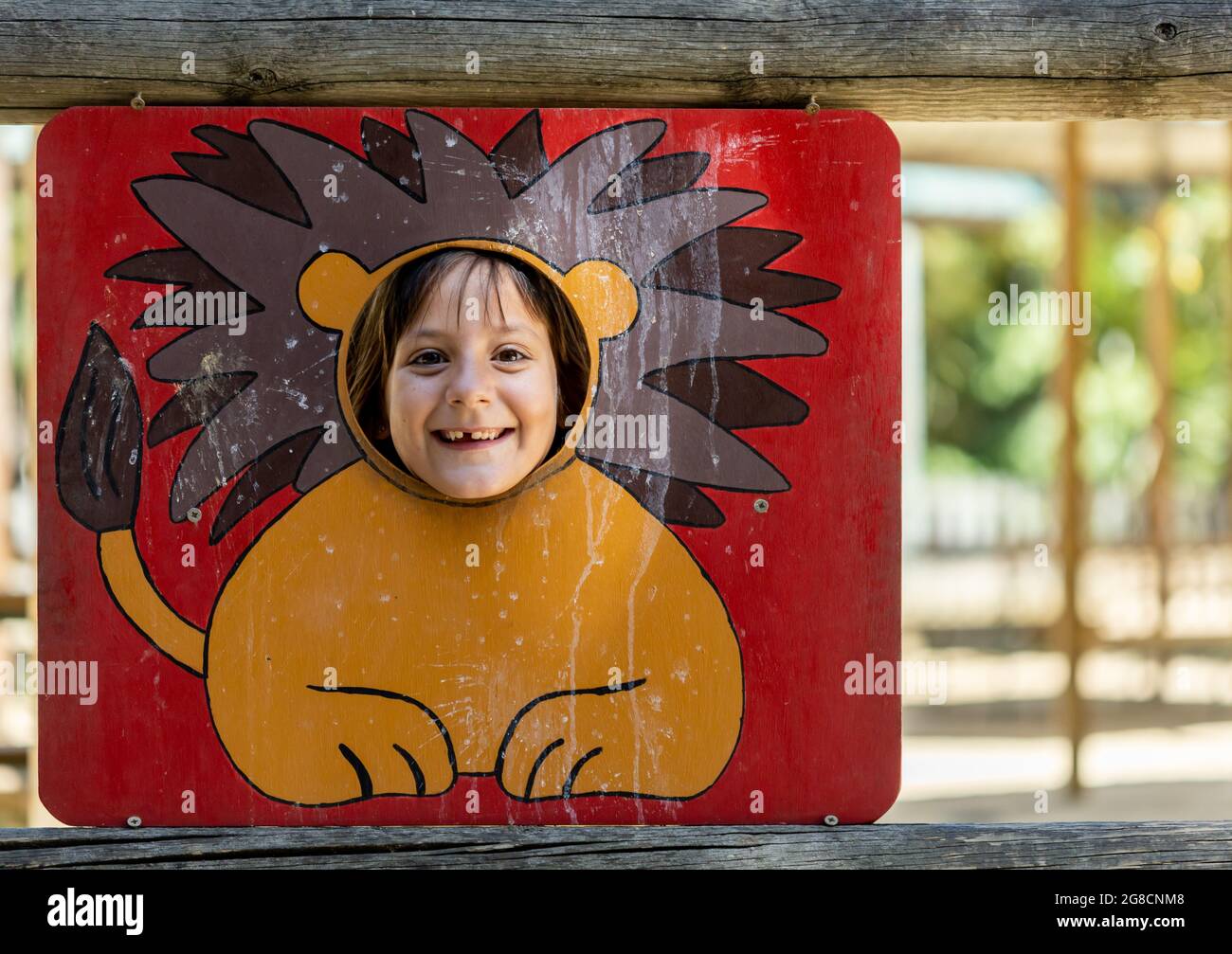 Girl lion hi-res stock photography and images - Alamy