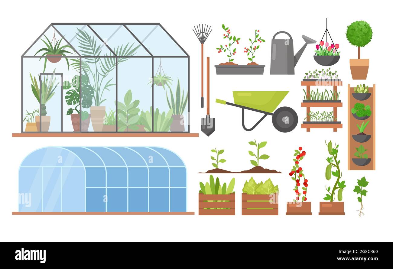 Greenhouse eco farm agriculture set, cartoon glass green house garden collection Stock Vector
