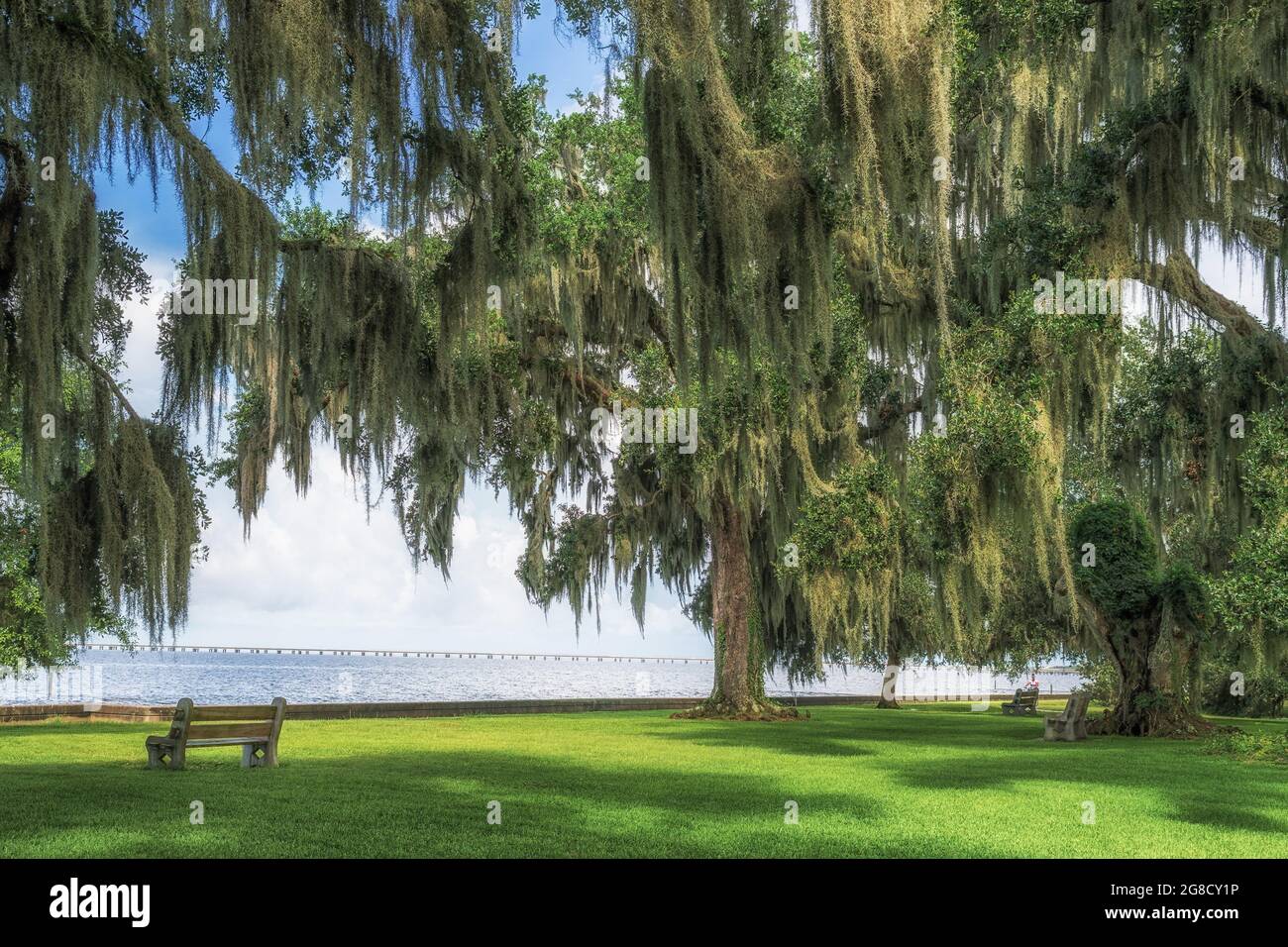 Lake Pontchartrain northshore, north shore lakefront park with Southern Live Oak trees and New Orleans causeway, Mandeville, Louisiana, USA. Stock Photo