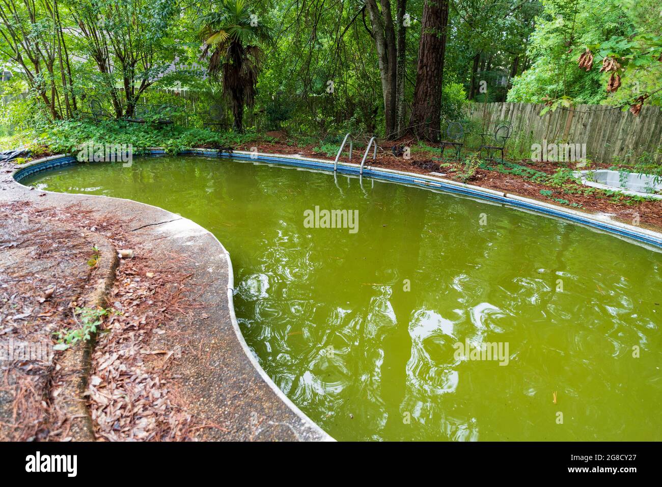 Filthy backyard swimming pool in ruins Stock Photo