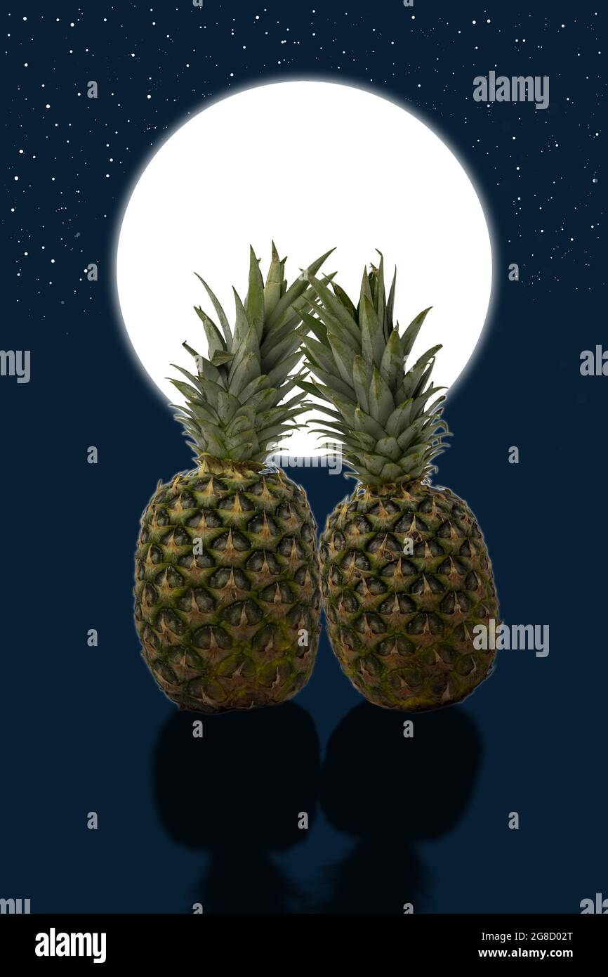 Two pineapples in love in the moonlight. Stock Photo