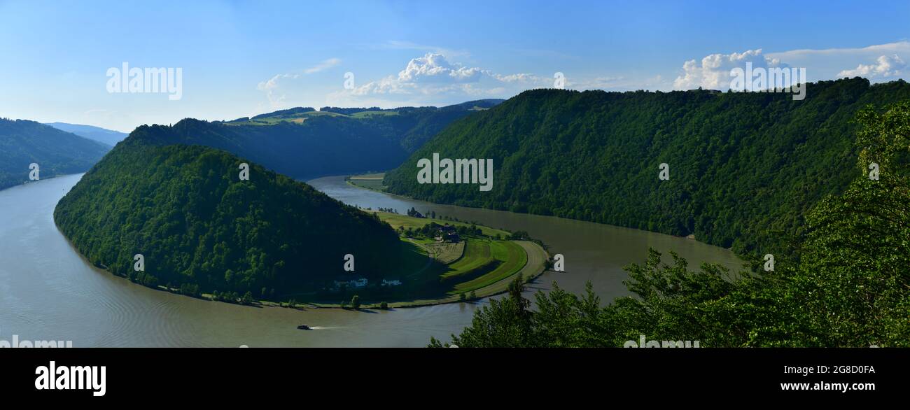 Panorama of  the Danube RIver at the Schlögener Schlinge, Donauschlinge, Austria, Europe Stock Photo