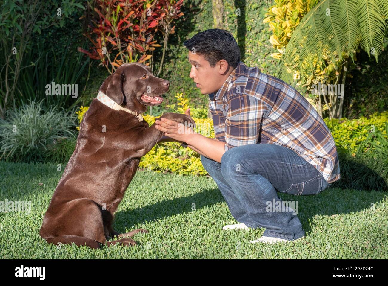 Young man during obedience training with his dog Stock Photo