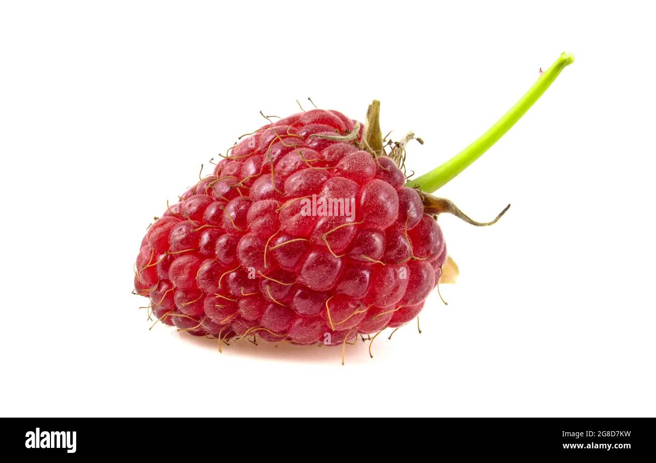 Raspberry with leaves isolated on white background Stock Photo