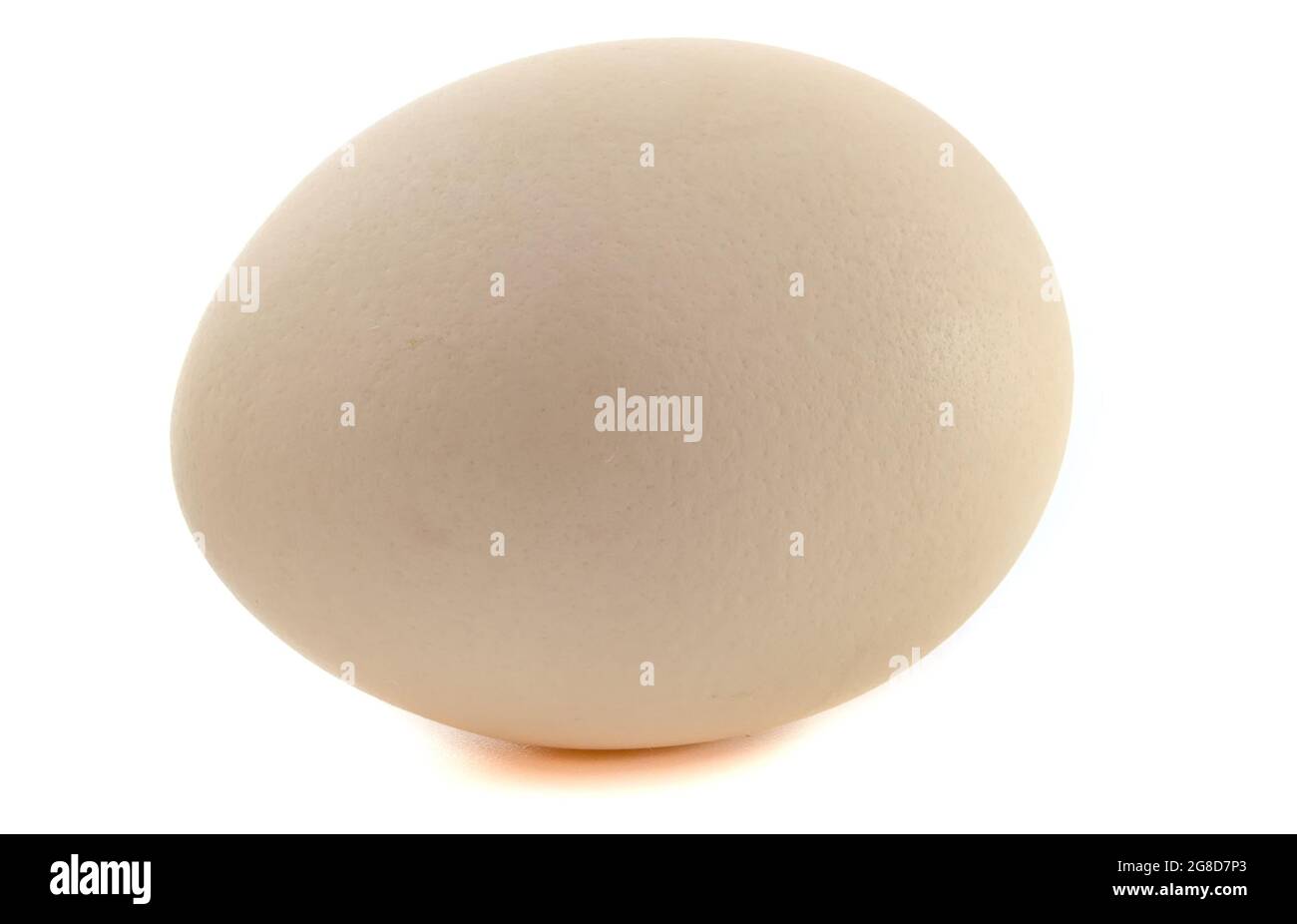 Chicken egg isolated on a white background Stock Photo - Alamy