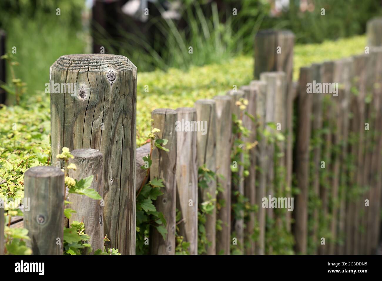 Closeup of an old gray wooden fence in the garden Stock Photo - Alamy