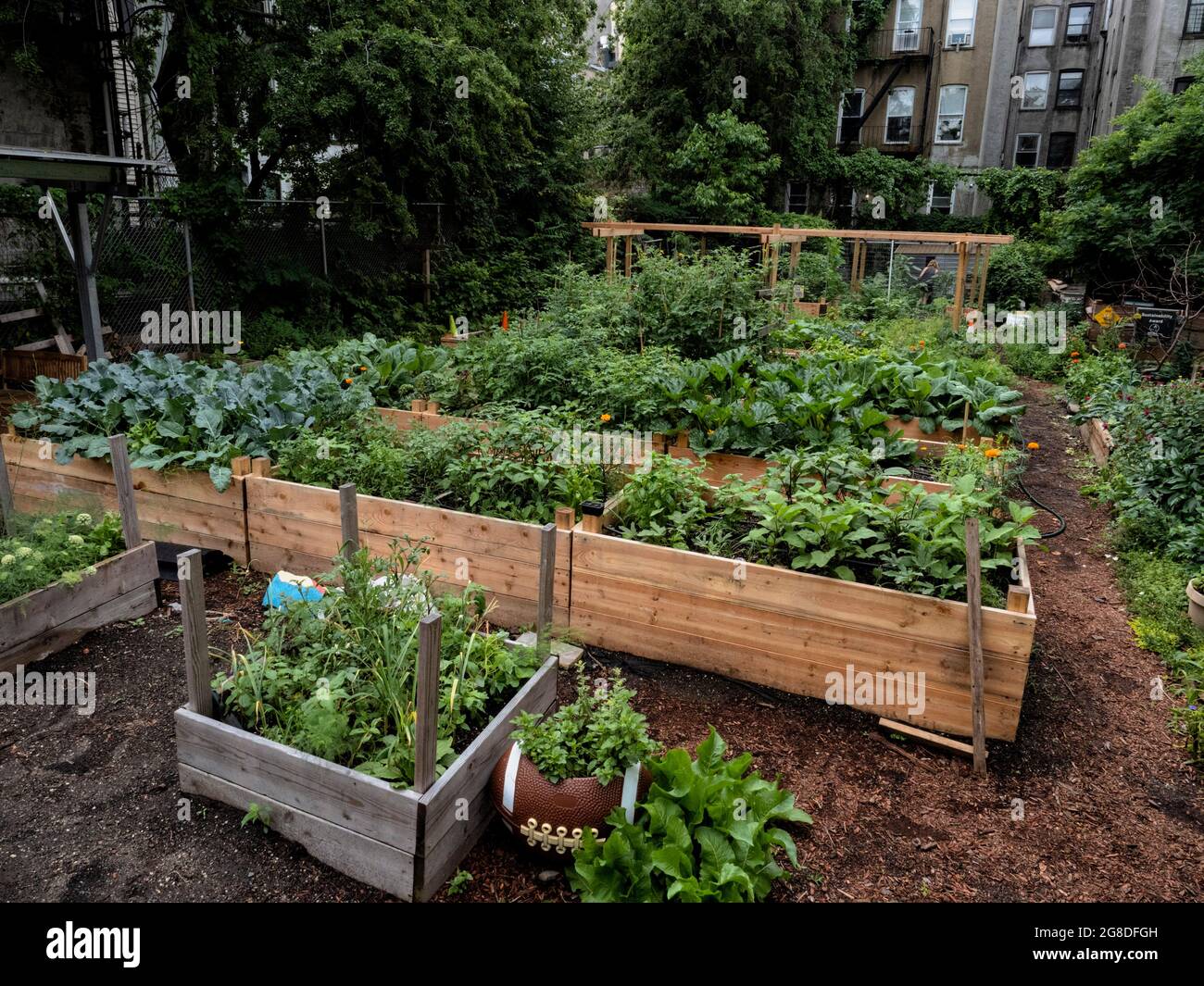 North America - United States, New York City: The Halsey Community Garden located in Brooklyn. Stock Photo