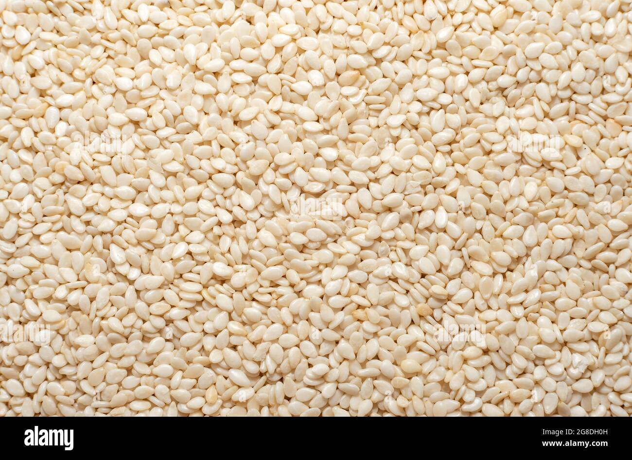 Sesame. Background from sesame seeds close up. Seeds Stock Photo - Alamy