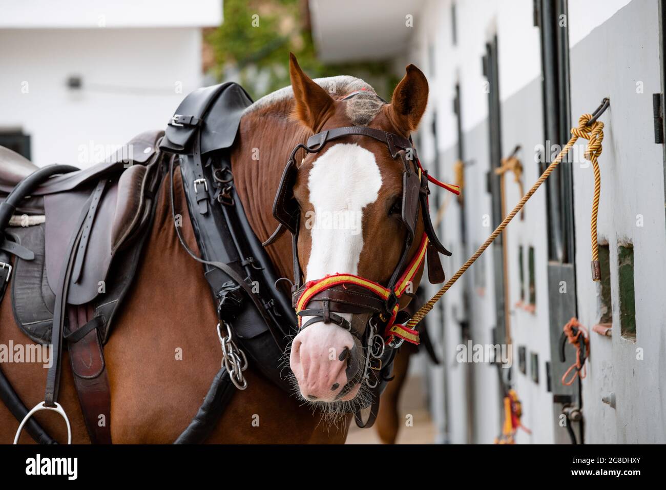 Full body harness hi-res stock photography and images - Alamy