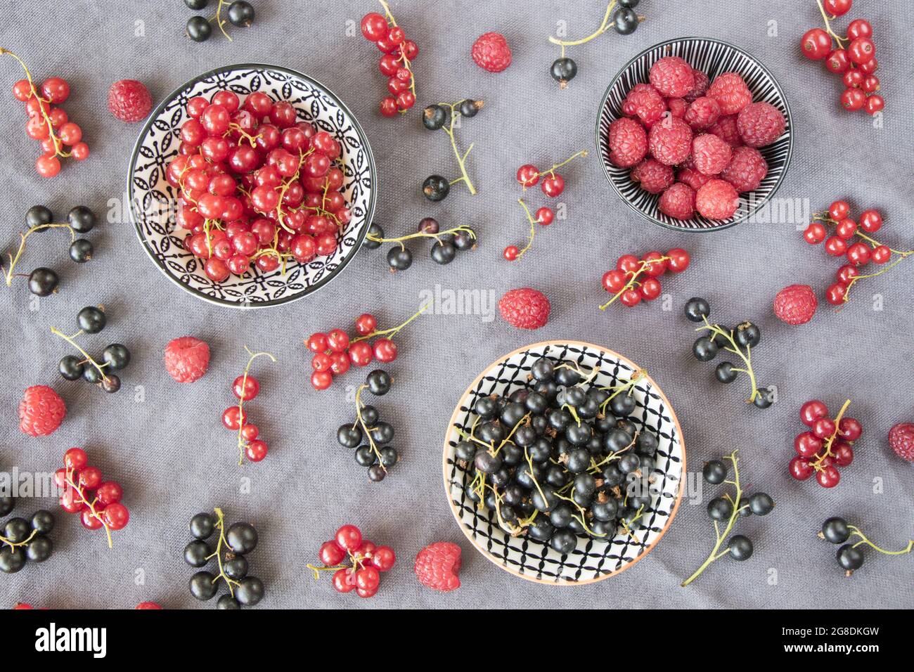 Bowls full of red and black currants and raspberries on a gray cloth ...