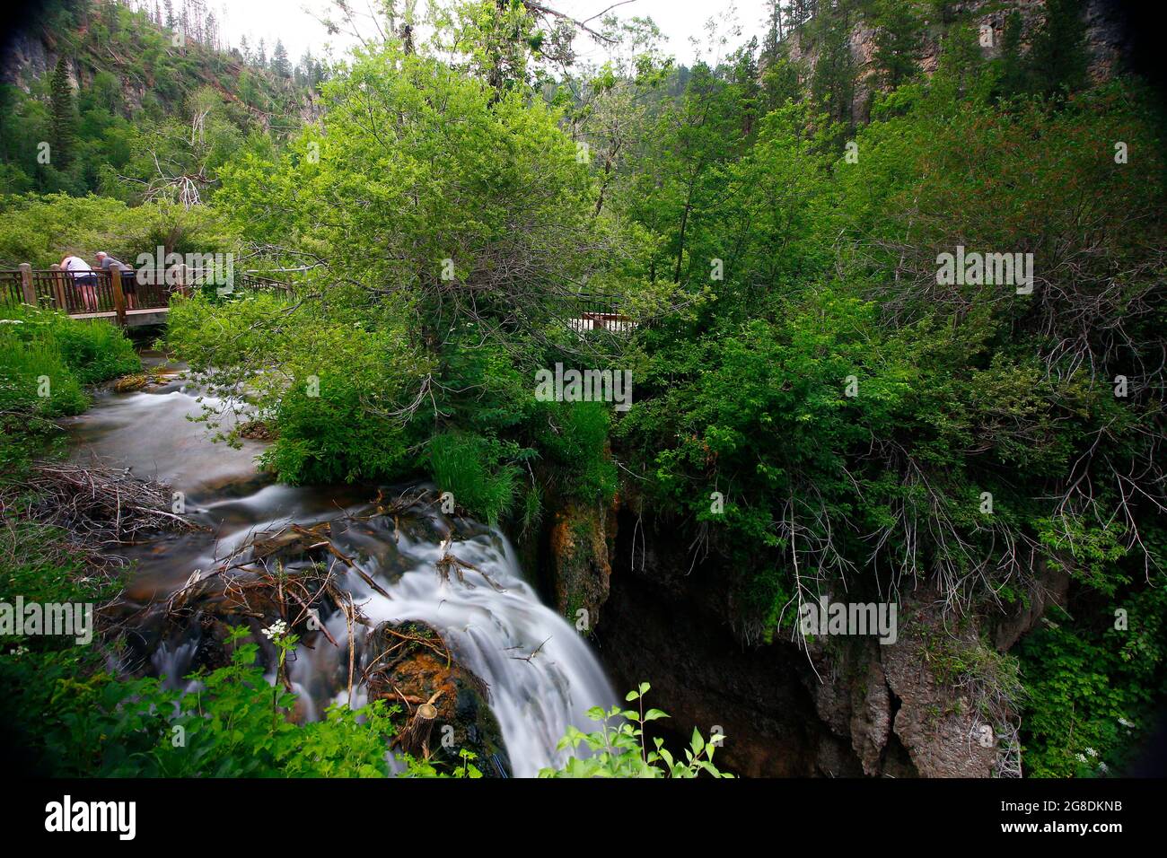 Roughlock Falls, Spearfish Canyon Scenic Byway, South Dakota Stock