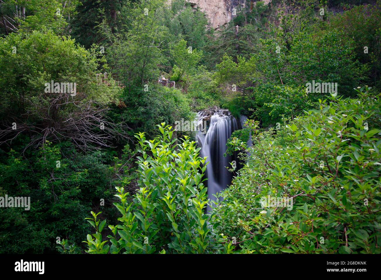 Roughlock Falls, Spearfish Canyon Scenic Byway, South Dakota Stock