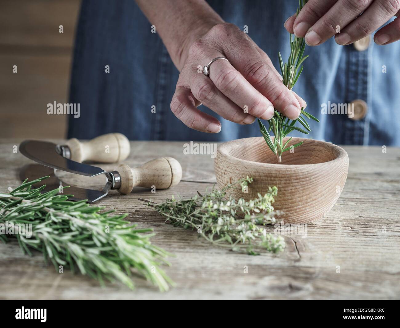 Female hand and fresh organic rosemary - salvia rosmarinus on vintage wooden table. Copy space. Selective focus Stock Photo
