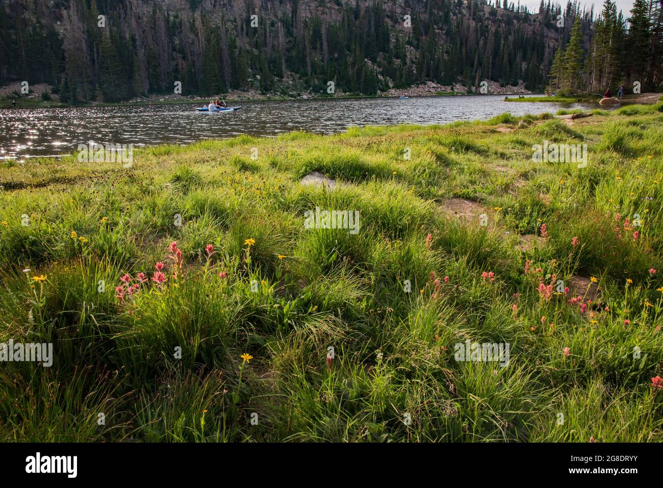 Kayakers and fishermen on a high mountain lake with a meadow of wildflowers in the foreground. Stock Photo