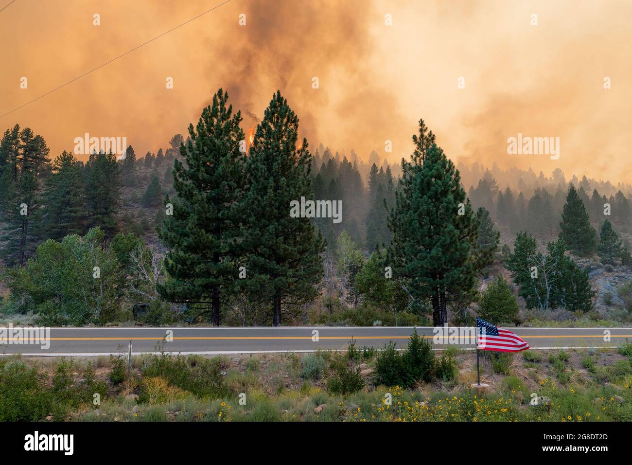 Markleeville, California, USA. 17th July, 2021. An American flag is seen  waving in the wind as the Tamarack Fire burns on a hillside opposite side  of Highway 89 past Hangman's Bridge in