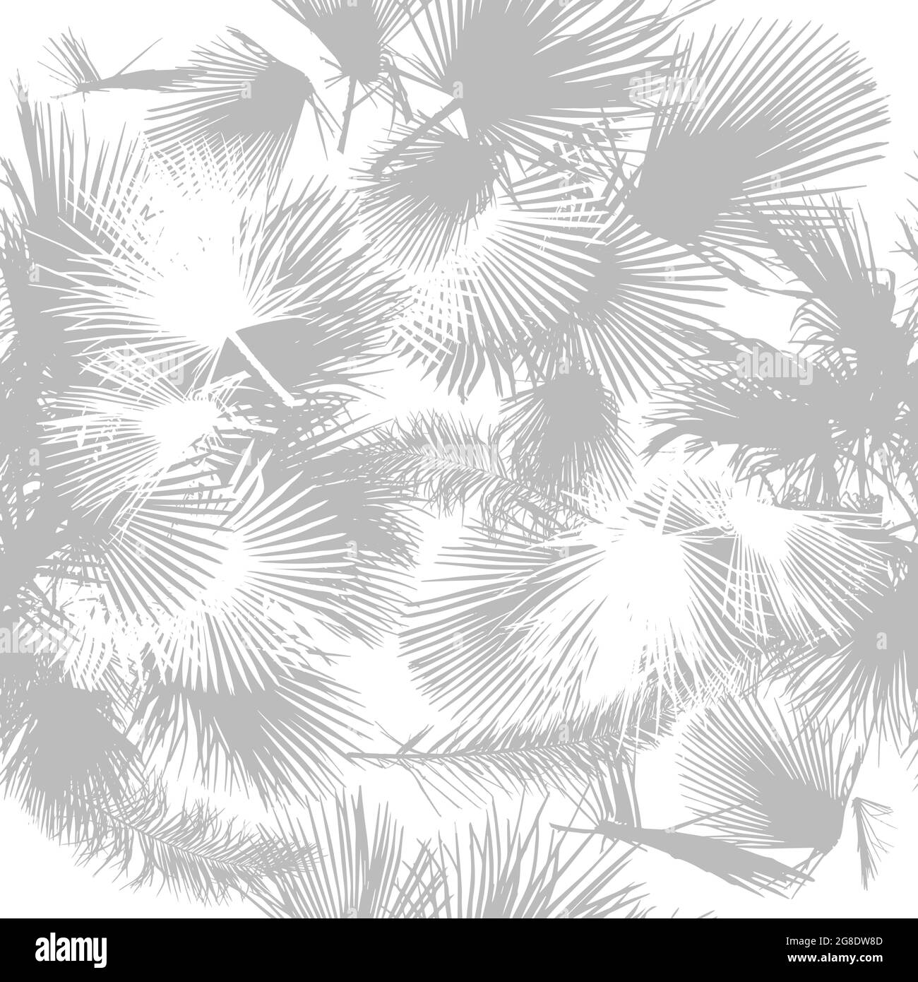 Seamless background palm leaves. vector illustration Stock Vector Image ...