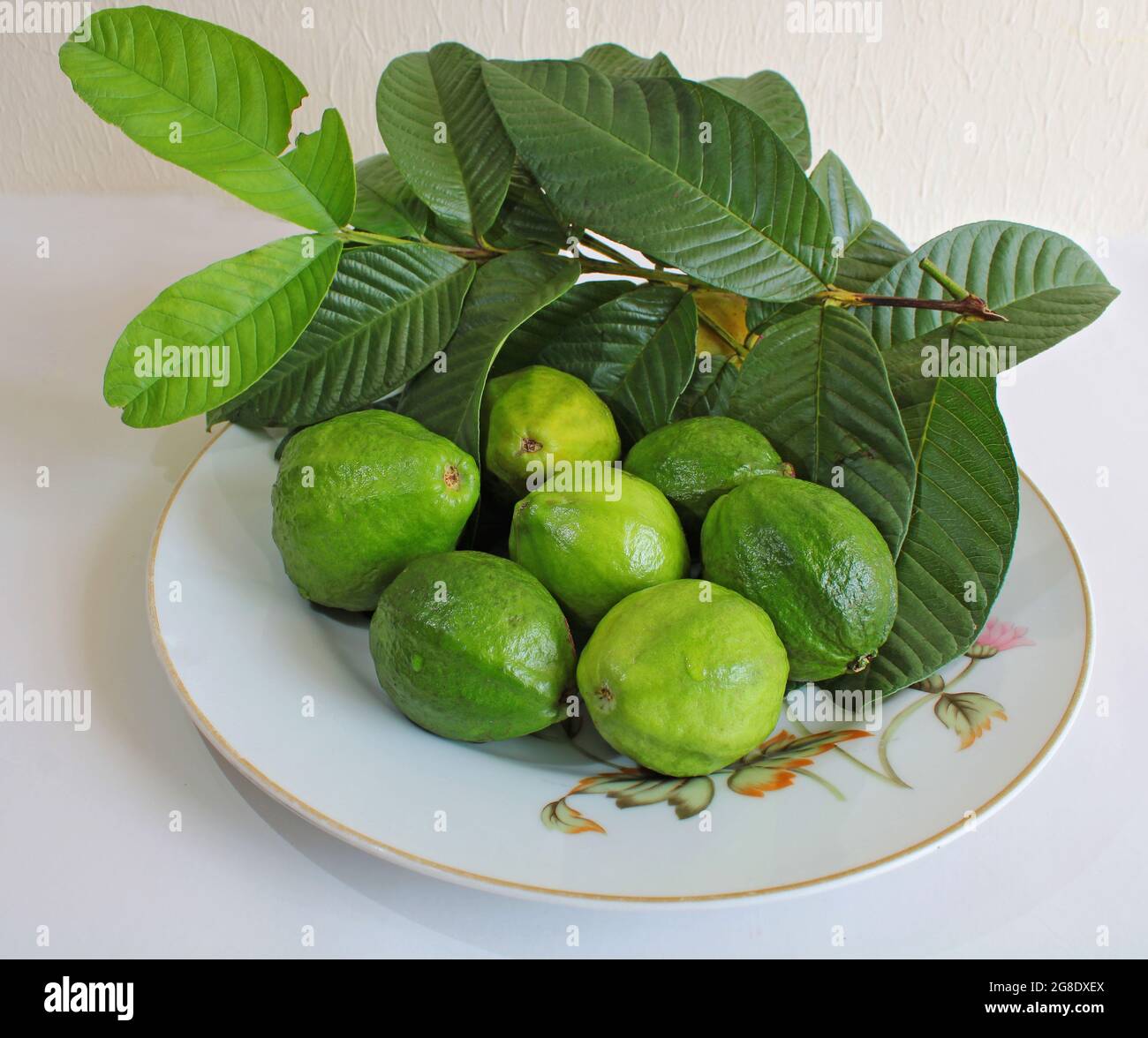 Guava fruit selection with guava leaves Stock Photo - Alamy Guava fruit selection with guava leaves Stock Photo - Alamy