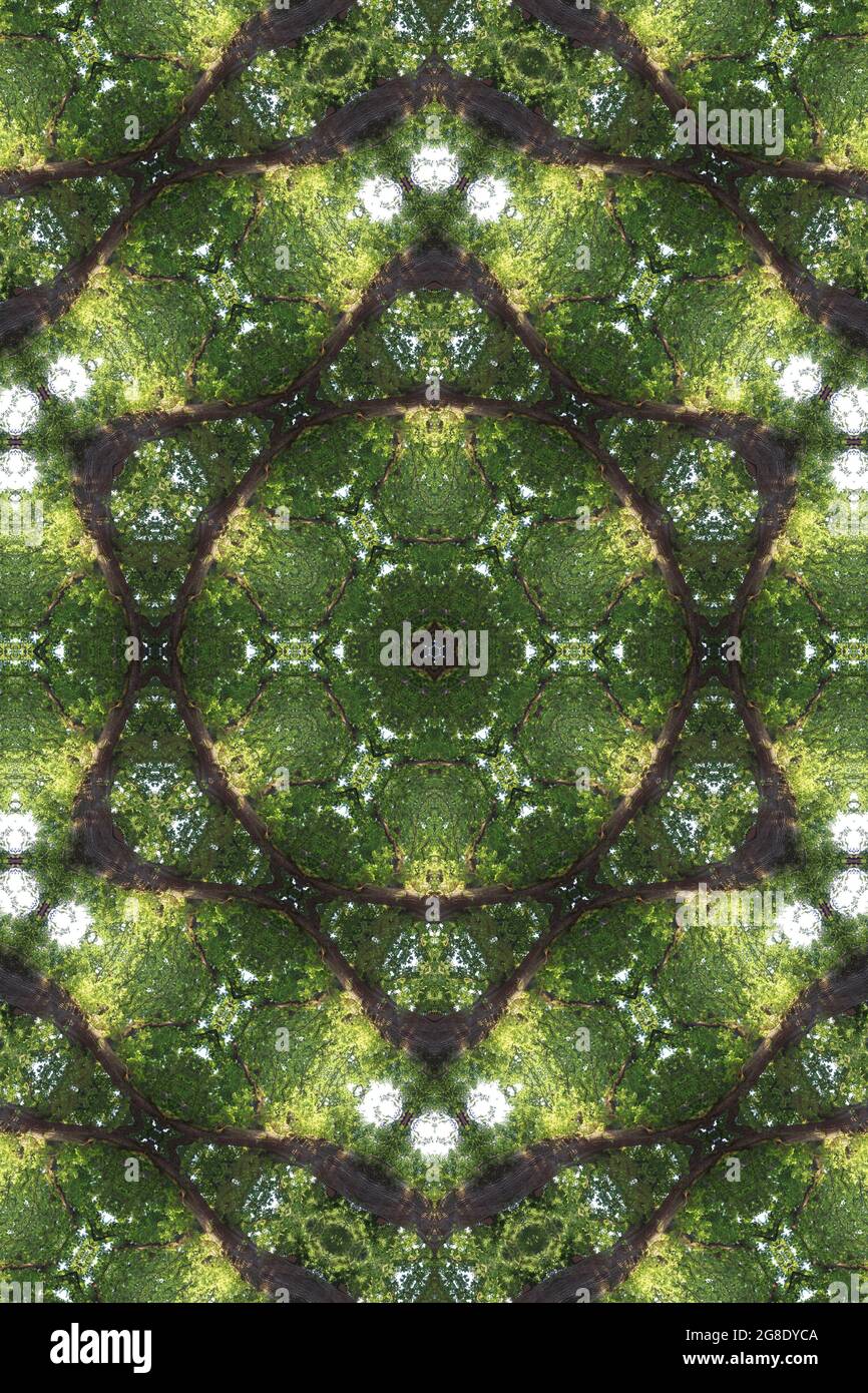 Green tree art hi-res stock photography and images - Alamy