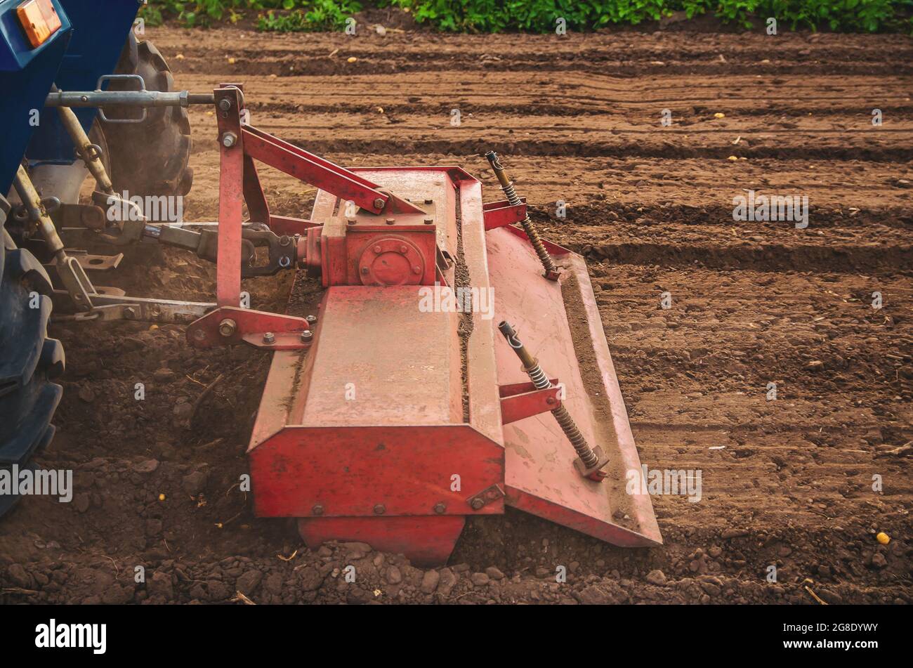 The tractor works the soil of the field by loosening and mixing it. Softening of the soil and destruction of the root system of the previous harvest. Stock Photo
