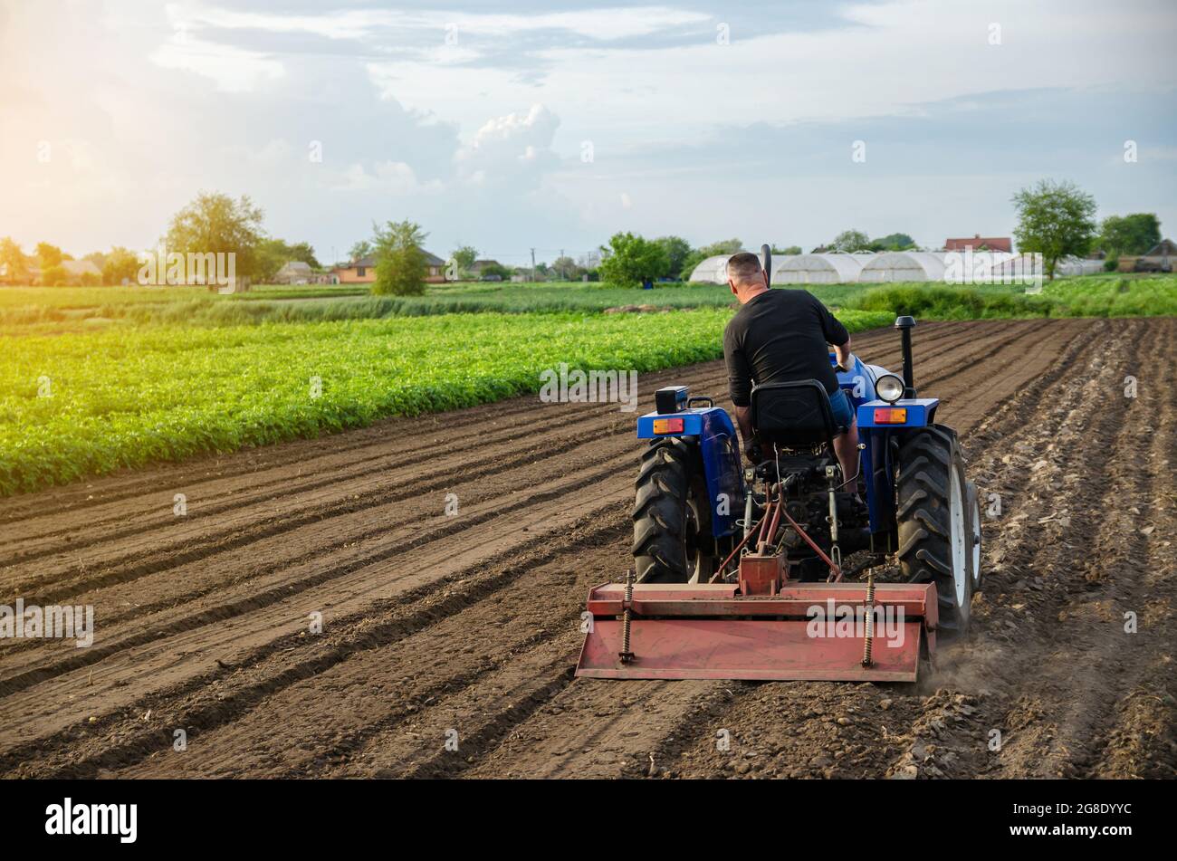 A farm tractor works the soil of an agricultural field. Milling soil, crushing and loosening ground before cutting rows. Working as a farmer. Farming. Stock Photo
