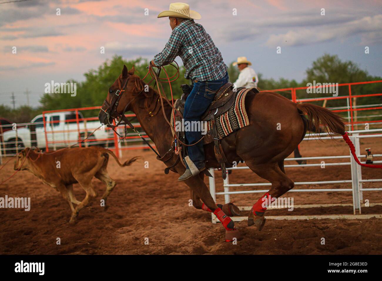 Caballo Rodeo Rodeo y caballo hi-res stock photography and images - Alamy