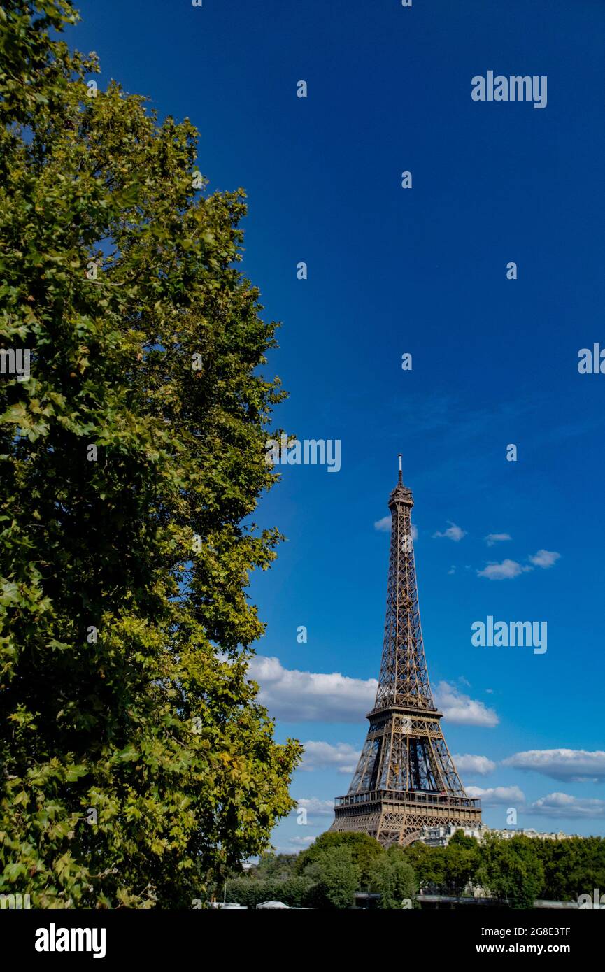 Europe - France, capital city Paris: A view of tEiffel Tower from which is located on the Champ de Mars in Paris. Stock Photo