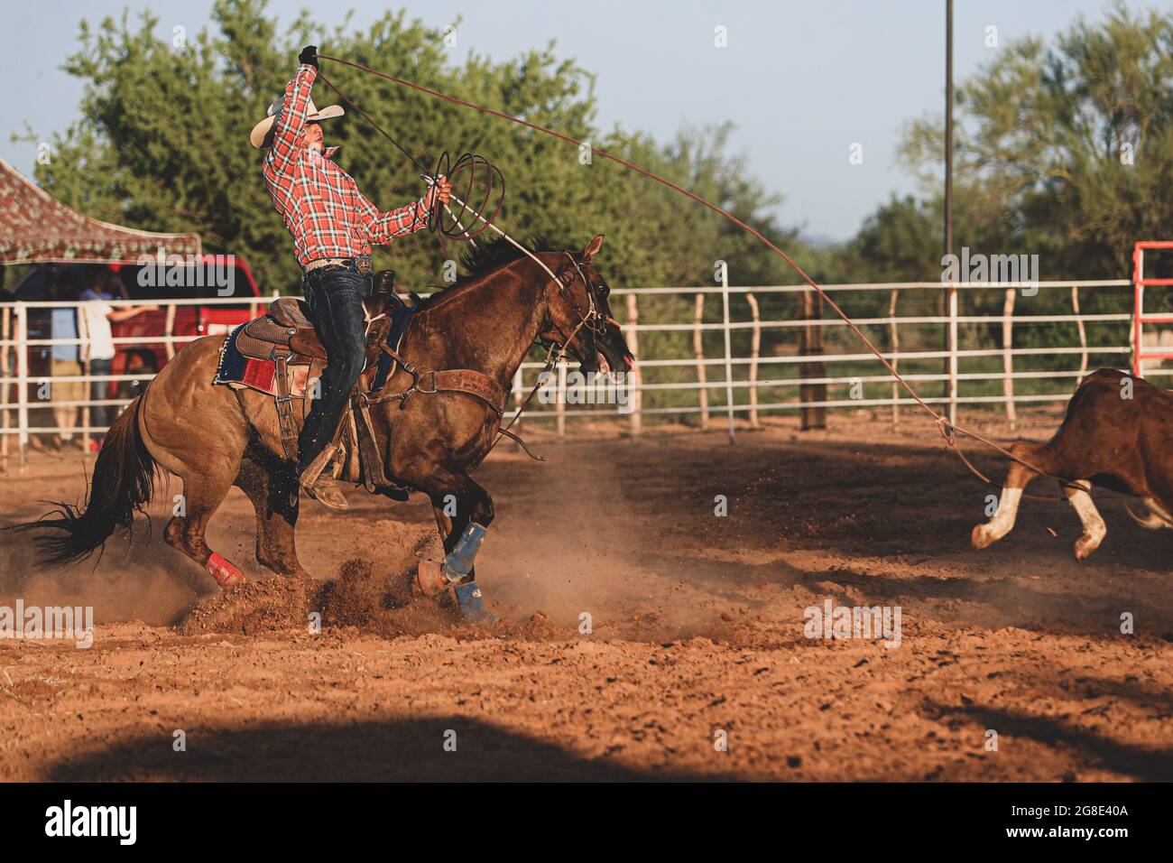 Caballo Rodeo Rodeo y caballo hi-res stock photography and images - Alamy
