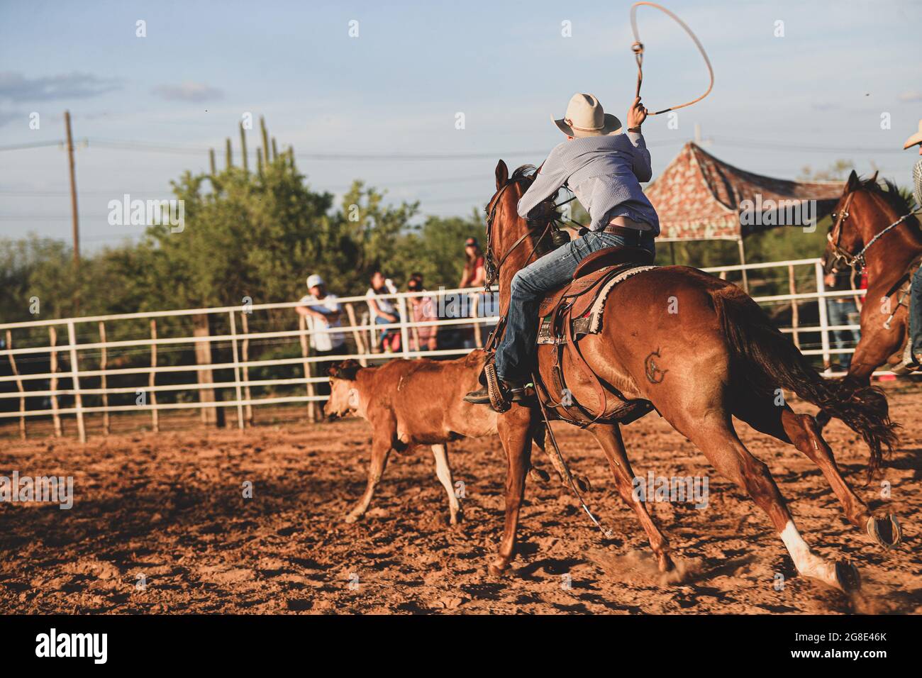 Caballo Rodeo Rodeo y caballo hi-res stock photography and images - Alamy