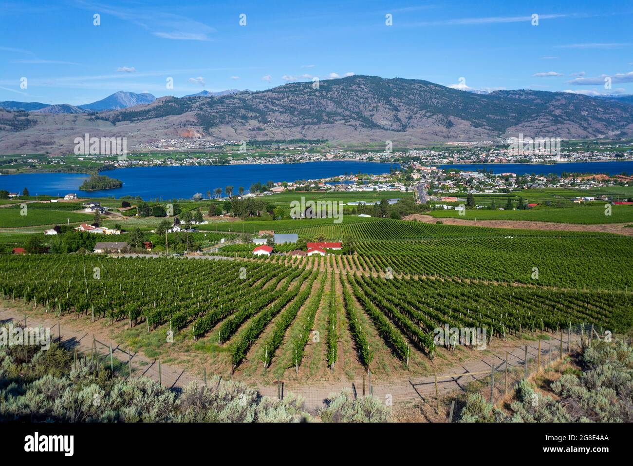View of the agricultural landscape and vineyards during summer season in the small town of Osoyoos located in the Okanagan Valley, British Columbia, C Stock Photo