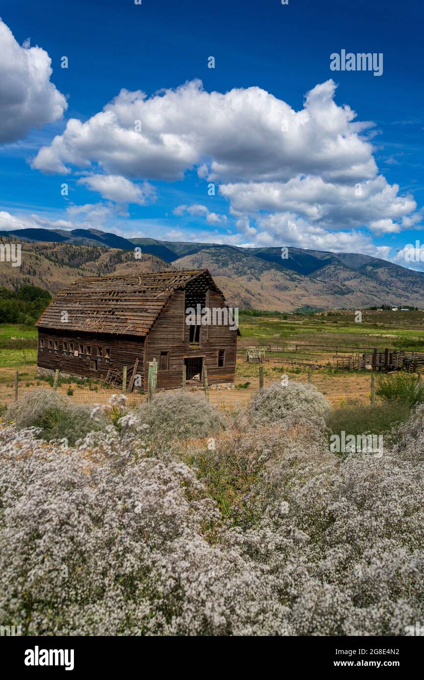 Historical Haynes Ranch Farmhouse located in Osoyoos in the Okanagan Valley, British Columbia, Canada. Stock Photo