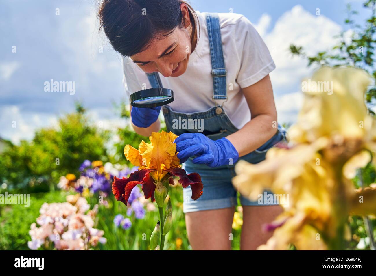 Woman With Insects Woman examining flower petals and leaf for insects Stock Photo - Alamy