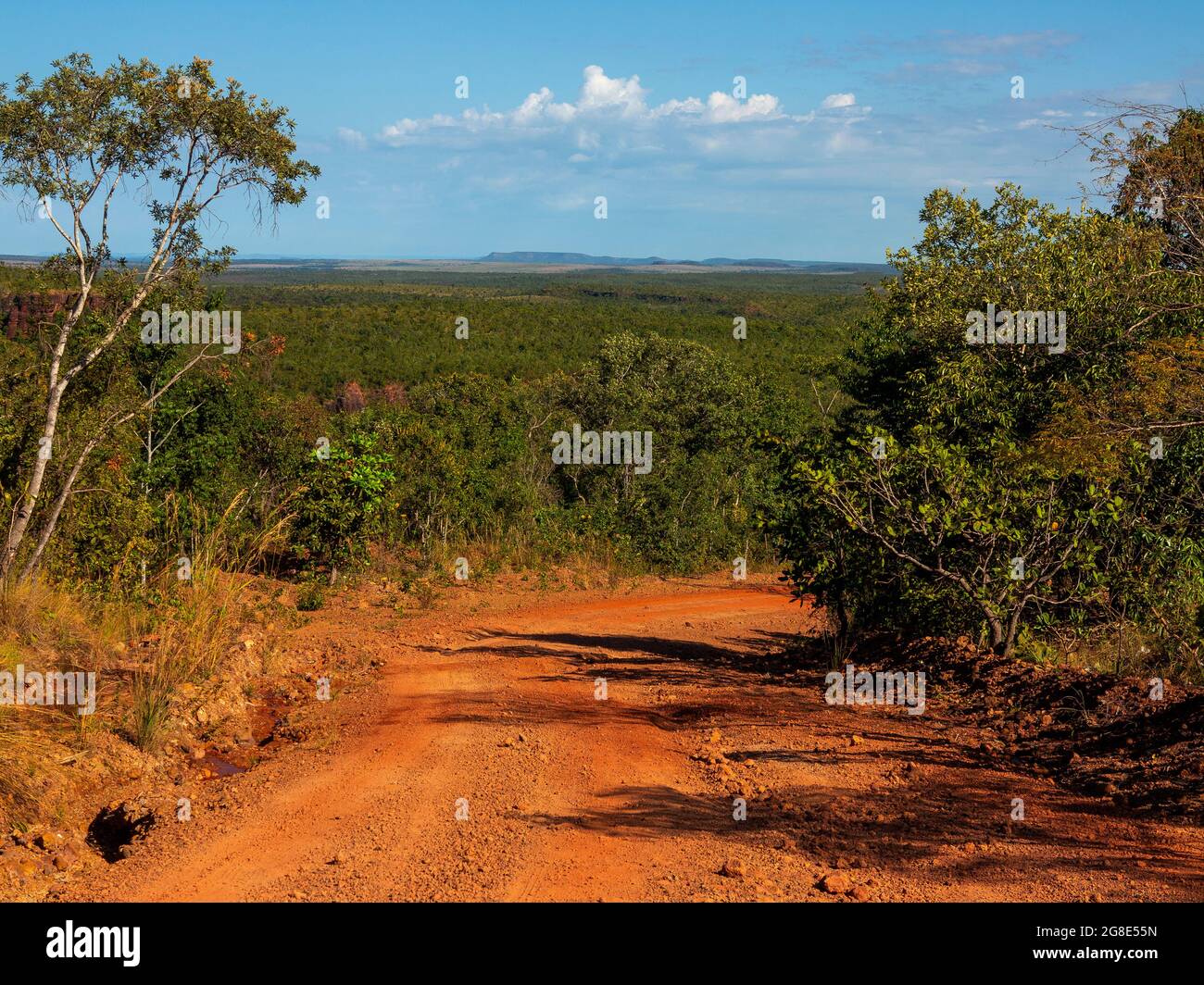 Cerrado landscape brazil hi-res stock photography and images - Alamy