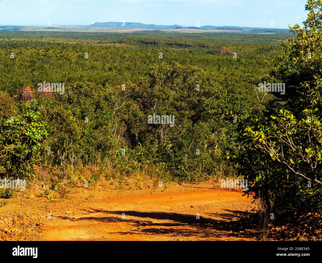 Cerrado landscape brazil hi-res stock photography and images - Alamy