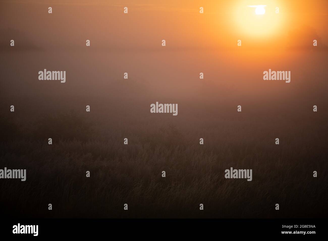 Sunrise over field in fog, Prignitz, Brandenburg, Germany Stock Photo ...