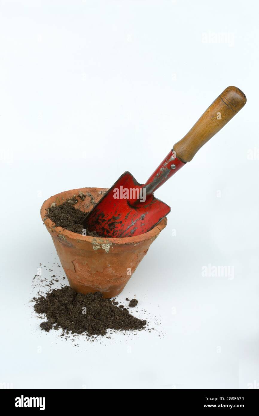 Premium Photo  Edible brown clay stone with small garden shovels on a  white background