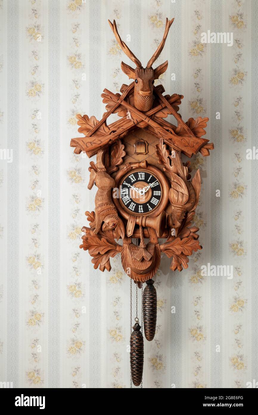 Old black forest cuckoo clock in front of old fashioned wallpaper wall