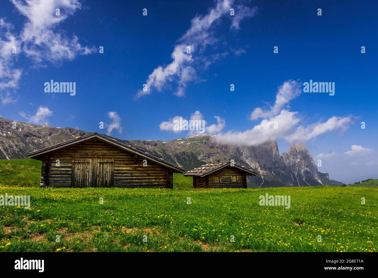 Alpine huts in front of the Schlern massif, Alpe di Siusi, South Tyrol ...