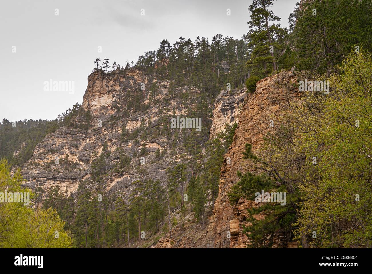 Black Hills National Forest, SD, USA - May 31, 2008: Wider and longer shot of brown-beige-black rocky cliff under silver sky. Green foliage on all sid Stock Photo