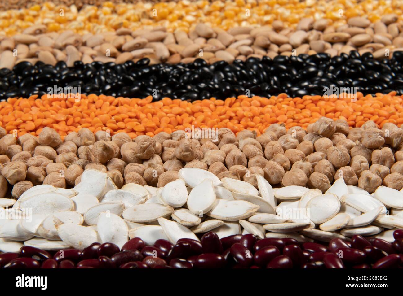 Collection of different cereal varieties and edible dry seeds. Examples