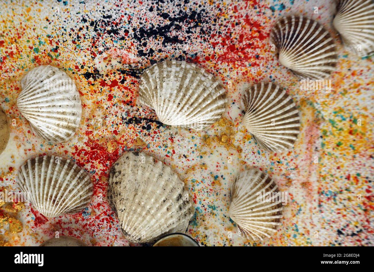 Mixed media art, a variety of shells on the background disappearing colors Stock Photo